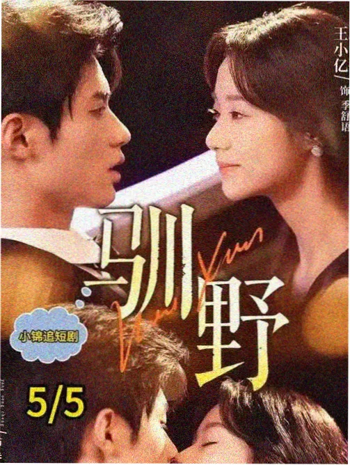 检察官手记剧集海报